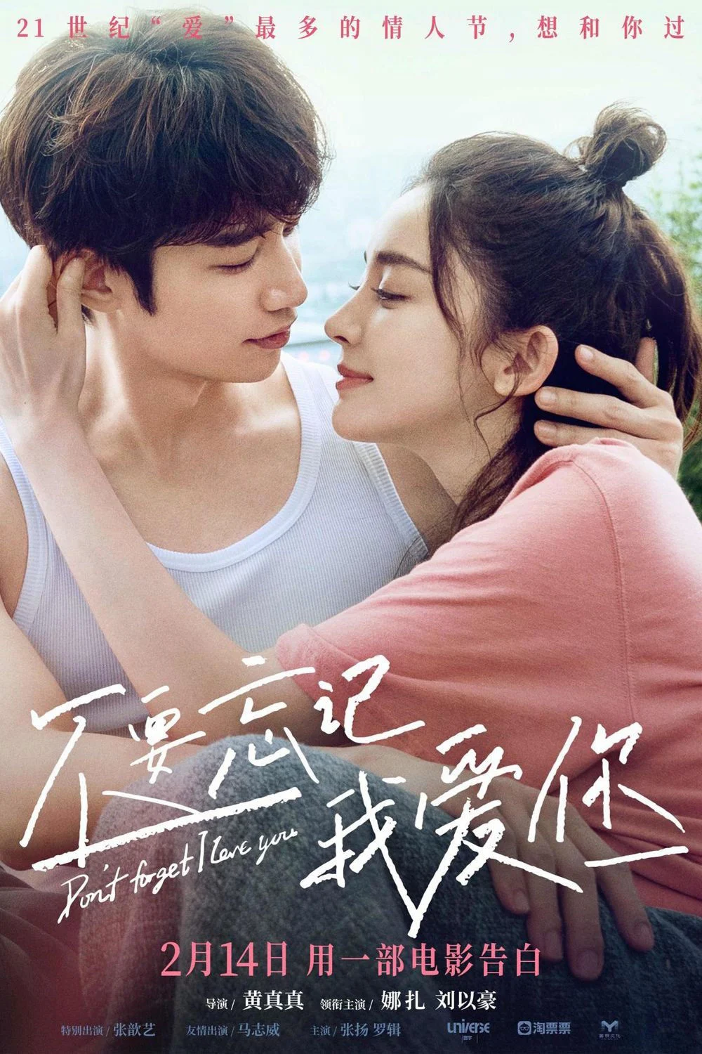 Đừng Quên Anh Yêu Em - Don't Forget I Love You
