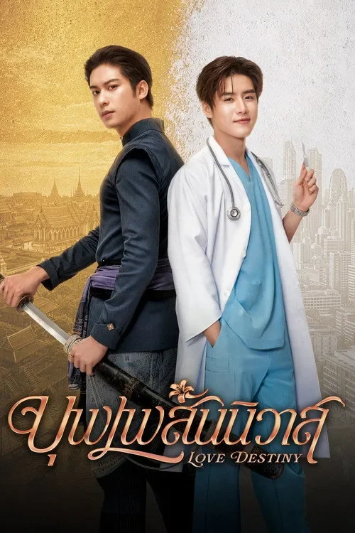 Nhân Duyên Tiền Định - Love Destiny